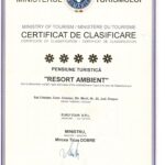 Classification certificate